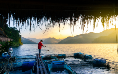 SELECT QUALIFIED RAW MATERIAL