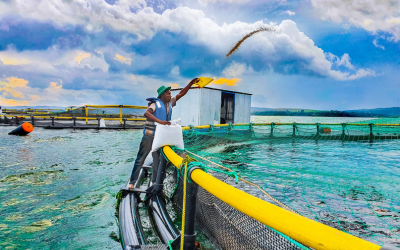 RAW MATERIAL INSPECTION
