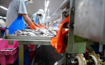 PRODUCTION MONITORING